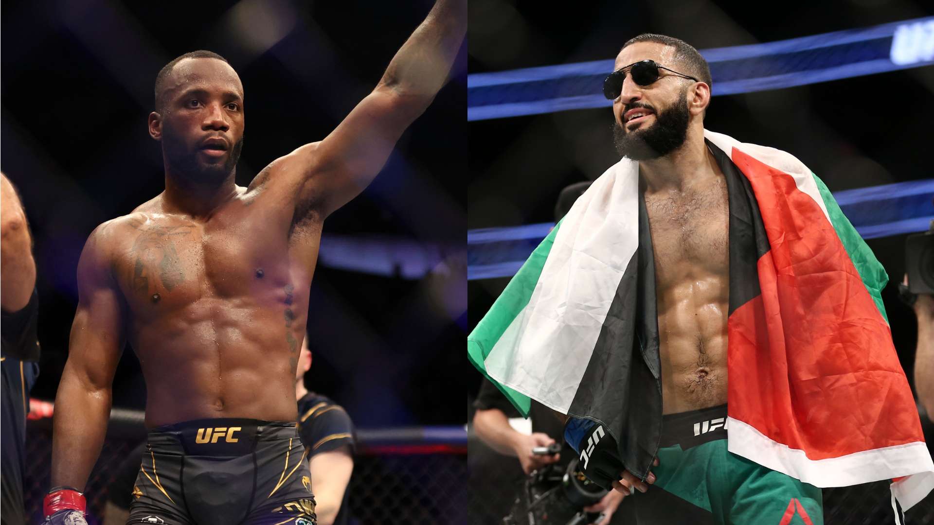 期待安菲爾 期待安菲爾