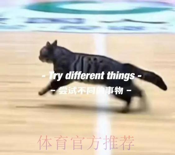 首节末段一只猫跑入球场,广东暂领先四川10分 首节末段一只猫跑入球场,广东暂领先四川10分